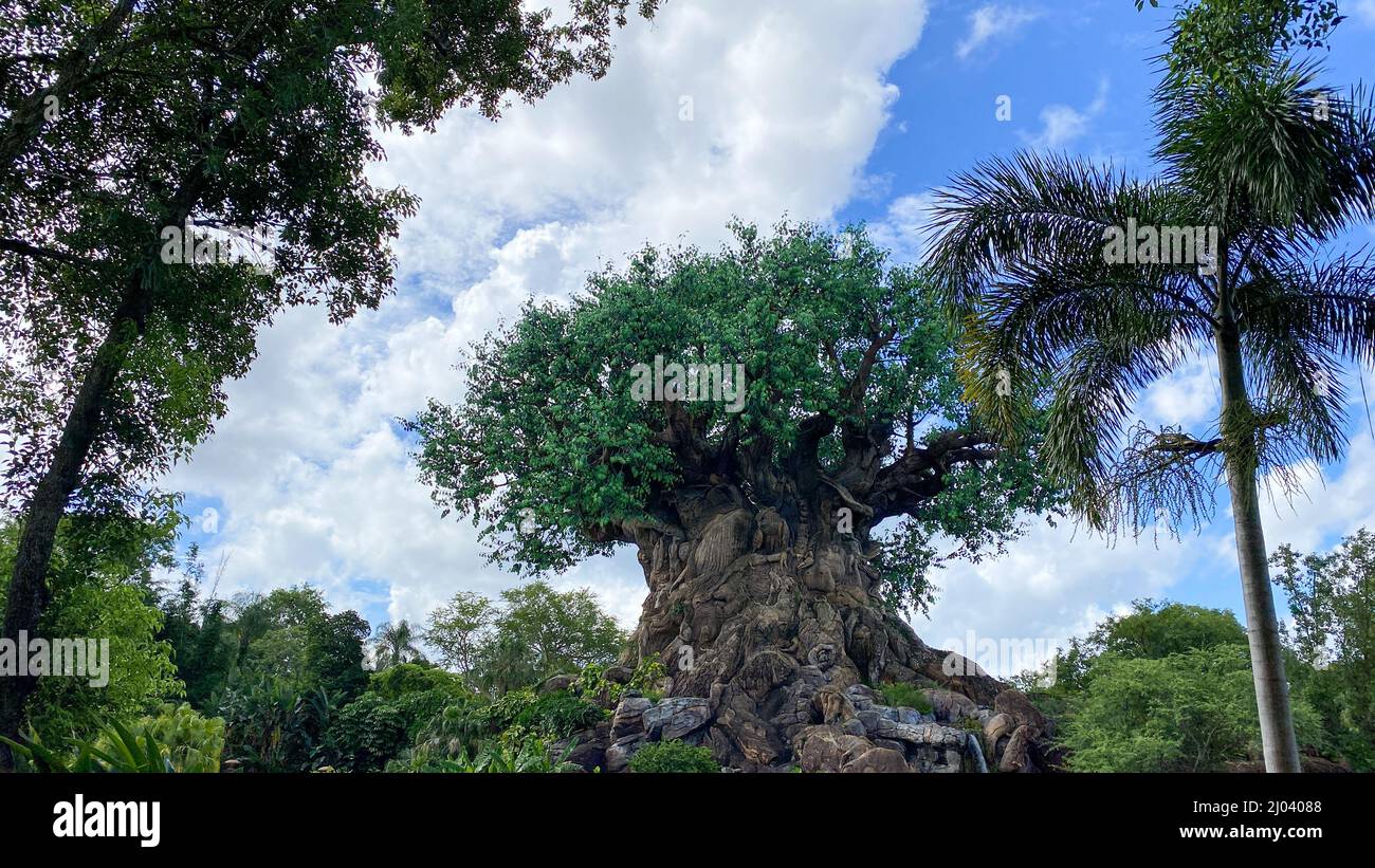 Orlando, FL USA - 18. Juli 2020: Der Baum des Lebens im Animal Kingdom in der Walt Disney World in Orlando, Florida. Stockfoto