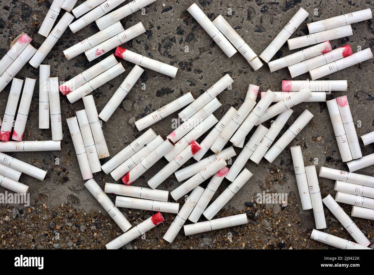 Lebensstil, Rauchen, das Gesundheit tötet. Viele halbräuchliche Zigaretten auf den Boden geworfen. Eine große Anzahl weißer Zigarettenkippen mit Frauenrot Stockfoto