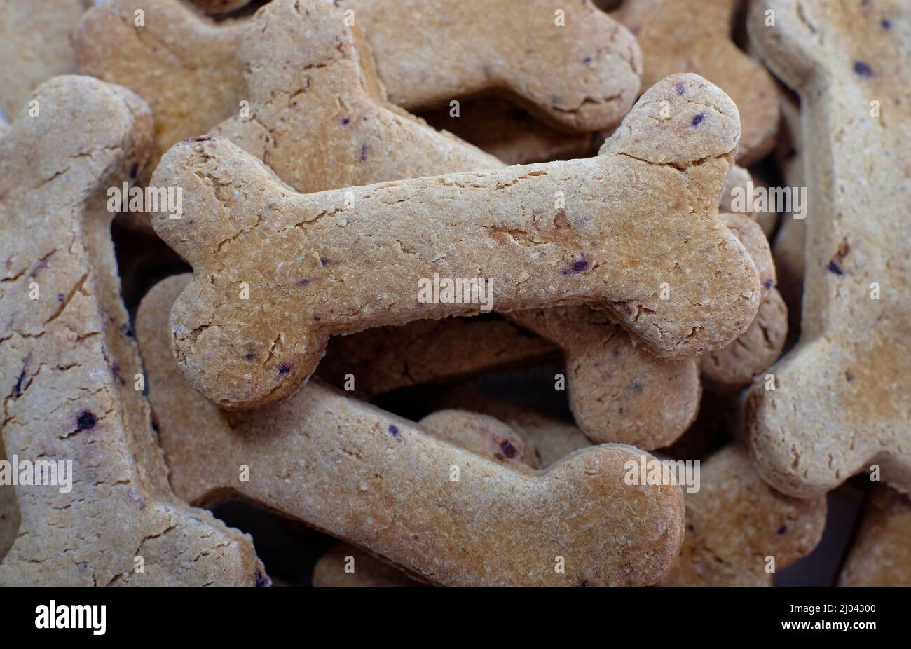 Nahaufnahme von kleinen knochenförmigen Hundekeksen Stockfoto