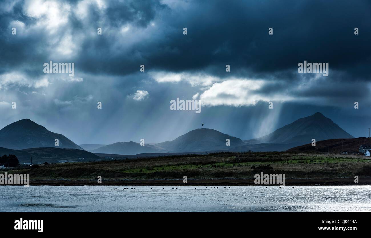 Errigal und Muckish Mountains über der Ballyness Bay von Magheroaty, County Donegal, Irland Stockfoto