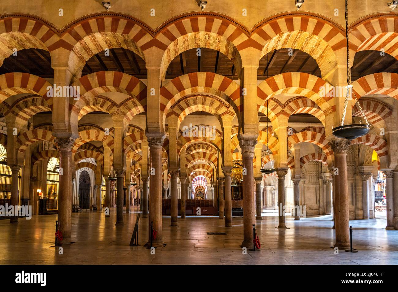 Maurische Säulen und Bögen im Innenraum der Mezquita - Catedral de Córdoba in Cordoba, Andalusien, Spanien | maurische Bögen und Säulen der Mezqu Stockfoto