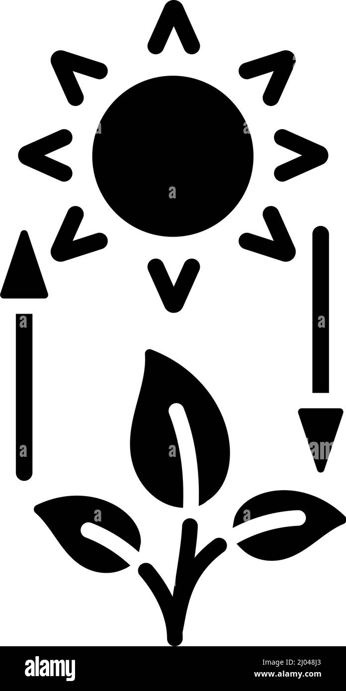 Schwarzes Glyphensymbol für Photosynthese Stock Vektor