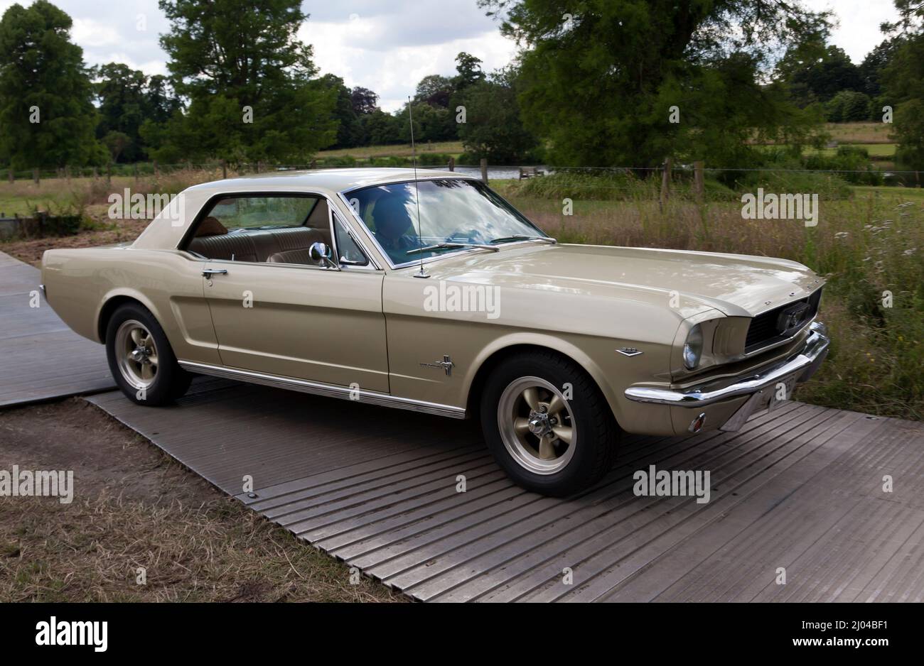 Ein Gold, 1966, Ford Mustang Coupé, das auf der London Classic Car Show 2021 vorgeführt wird Stockfoto