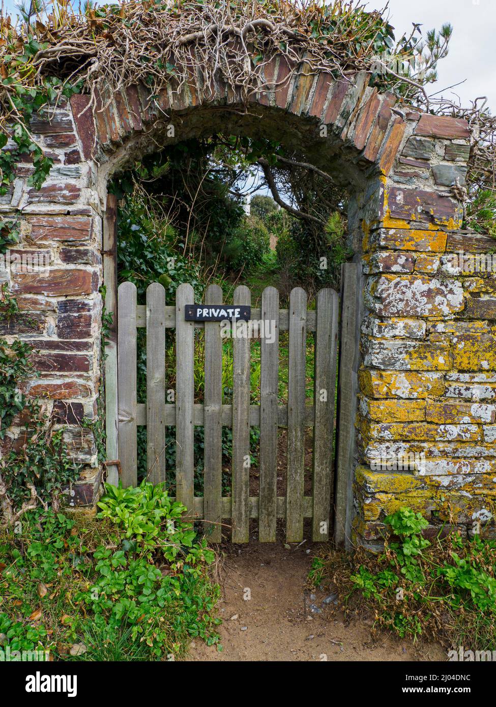 Gartentor im ummauerten Garten, Daymer Bay, Cornwall, Großbritannien Stockfoto