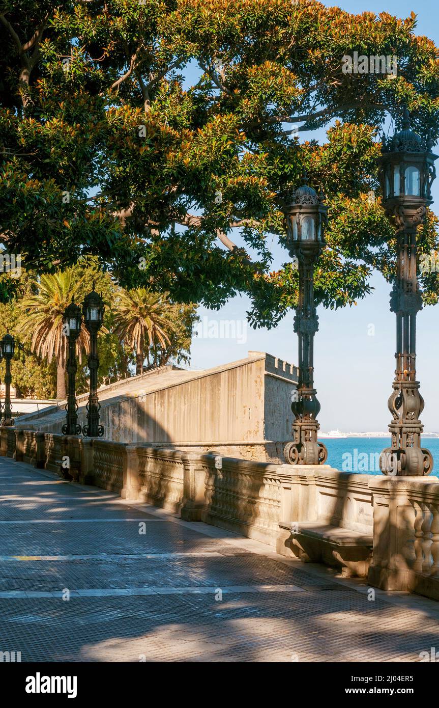 Blick auf Baluarte de la Candelaria:ehemalige Festung jetzt Kunst und Ausstellung, Zentrum von der baumgesäumten Promenade - Cádiz, Spanien Stockfoto