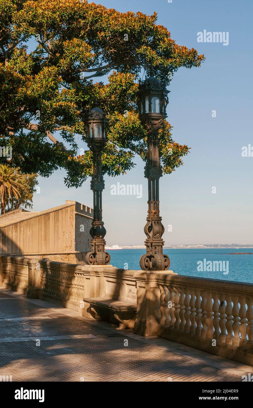 Blick auf Baluarte de la Candelaria:ehemalige Festung jetzt Kunst und Ausstellung, Zentrum von der baumgesäumten Promenade - Cádiz, Spanien Stockfoto