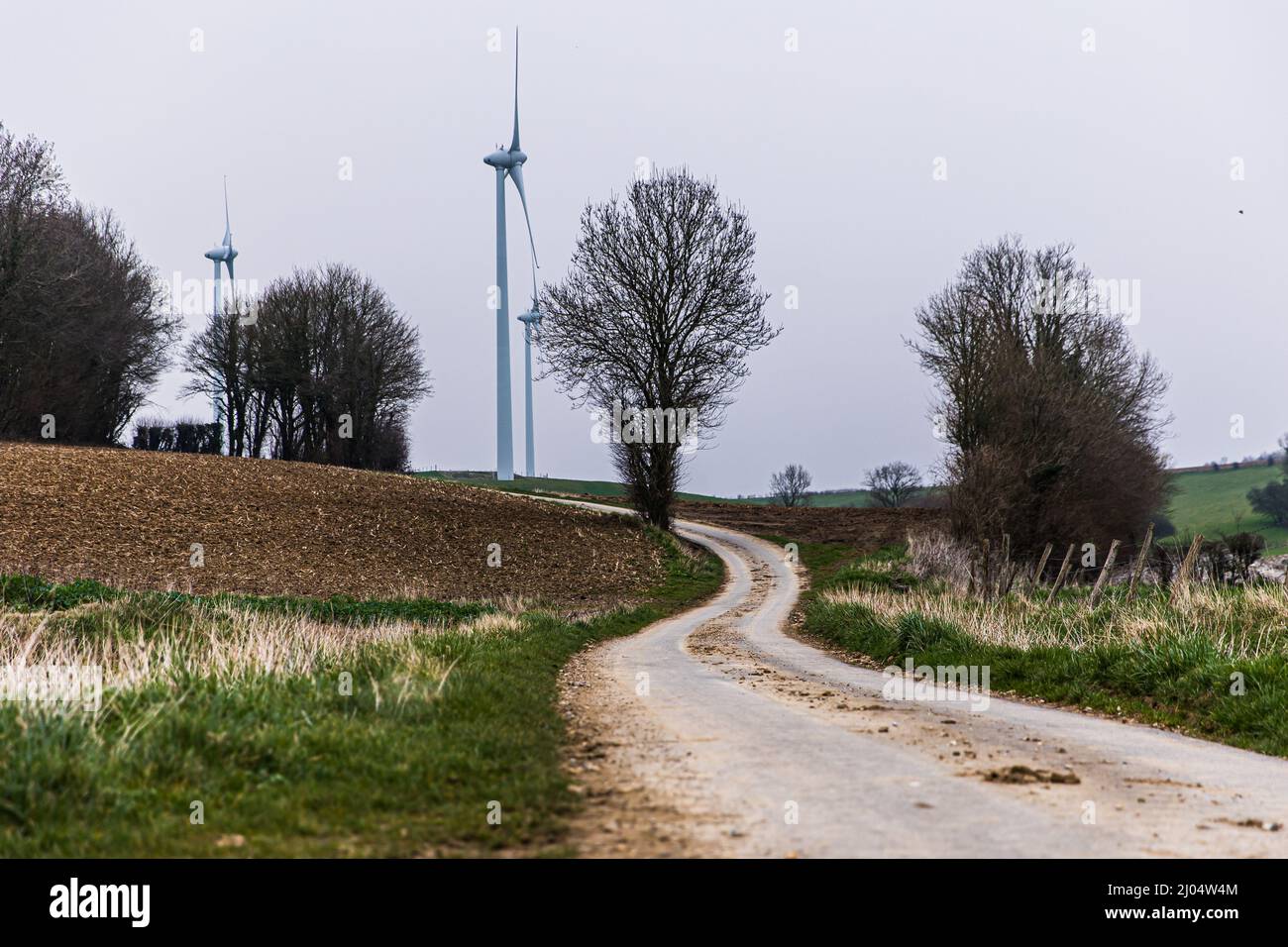 Landschaftsdarstellung Recce reconnaissances während der Rallye du Touquet 2022, 1. Runde des Championnat de France des Rallye 2022, vom 18. Bis 19. März in Le Touquet, Frankreich - Foto Bastien Roux / DPPI Stockfoto