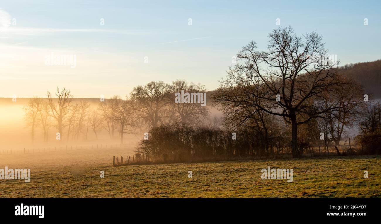 Landschaft im Nebel bei Sonnenaufgang an einem Wintermorgen. Burgund, Frankreich Stockfoto