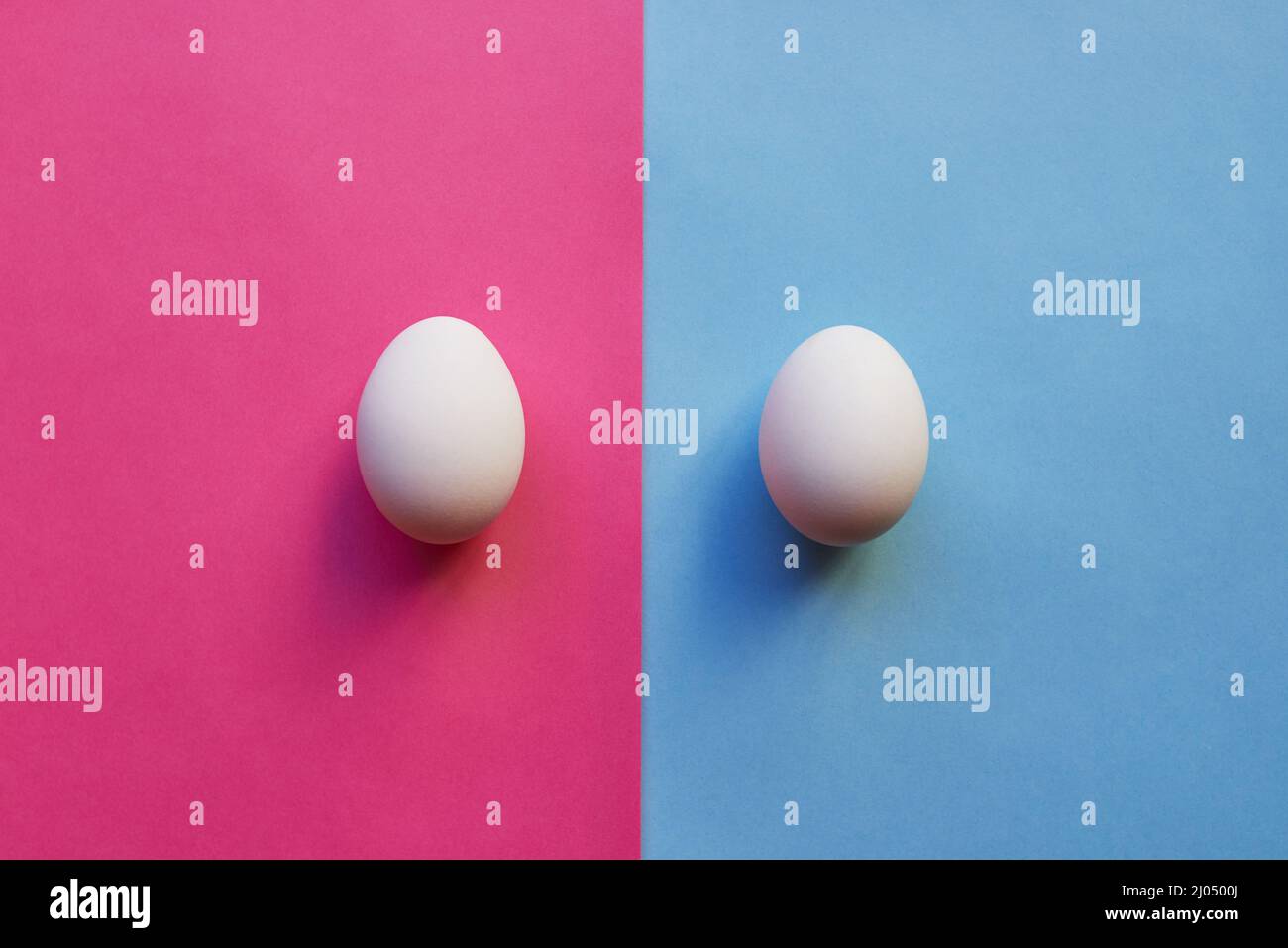 Wir haben einen Jungen und ein Mädchen. Studioaufnahme von zwei Eiern, die auf zwei verschiedenfarbigen Hintergründen nebeneinander platziert werden. Stockfoto