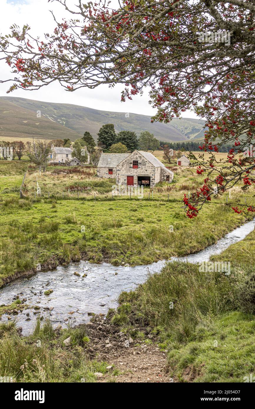 Das 18.. Jahrhundert geheime römisch-katholische Seminar von Scalan und der South Mill in den Braes of Glenlivet in der Nähe von Tomintoul, Moray, Schottland, Großbritannien. Stockfoto