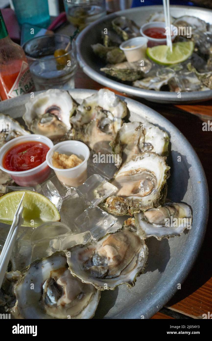 Rohe Austern in der Half Shell Raw Bar und Restaurant in der Marina in Key West, Florida, FL, USA, wurden 1972 eröffnet Stockfoto
