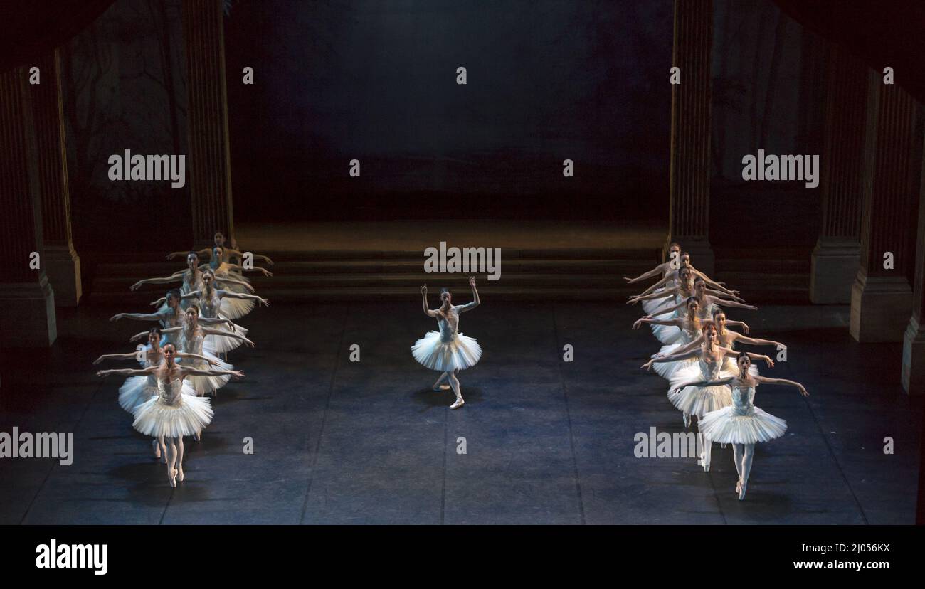 Swans Ballettvorstellung am See Stockfoto