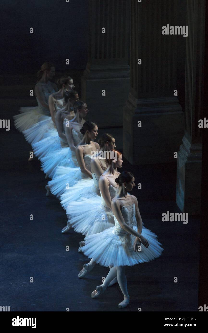 Swans Ballettvorstellung am See Stockfoto