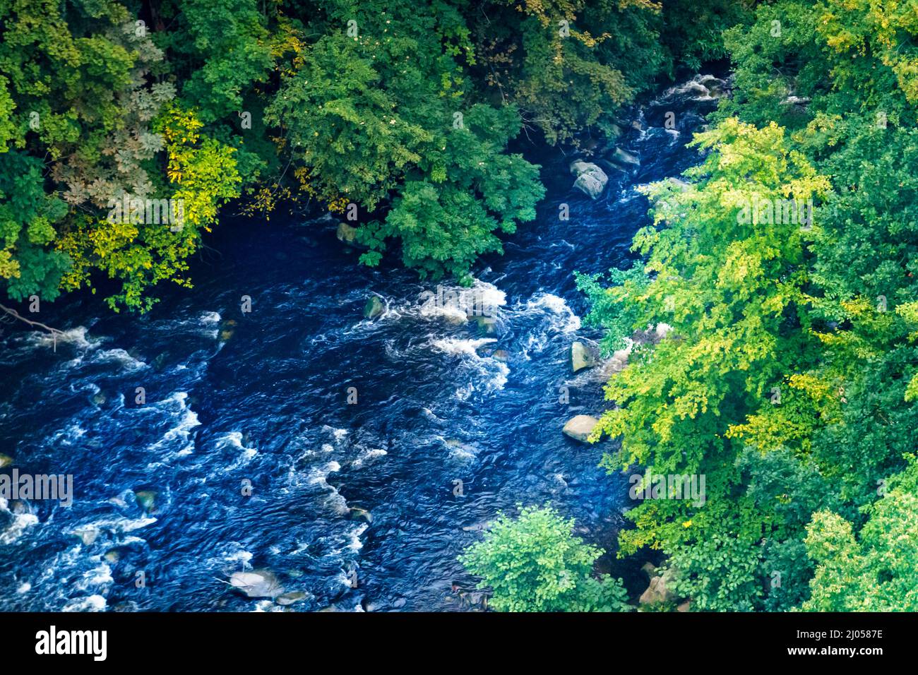 Luftaufnahme des Waldes im Herbst in den Bergen Stockfoto