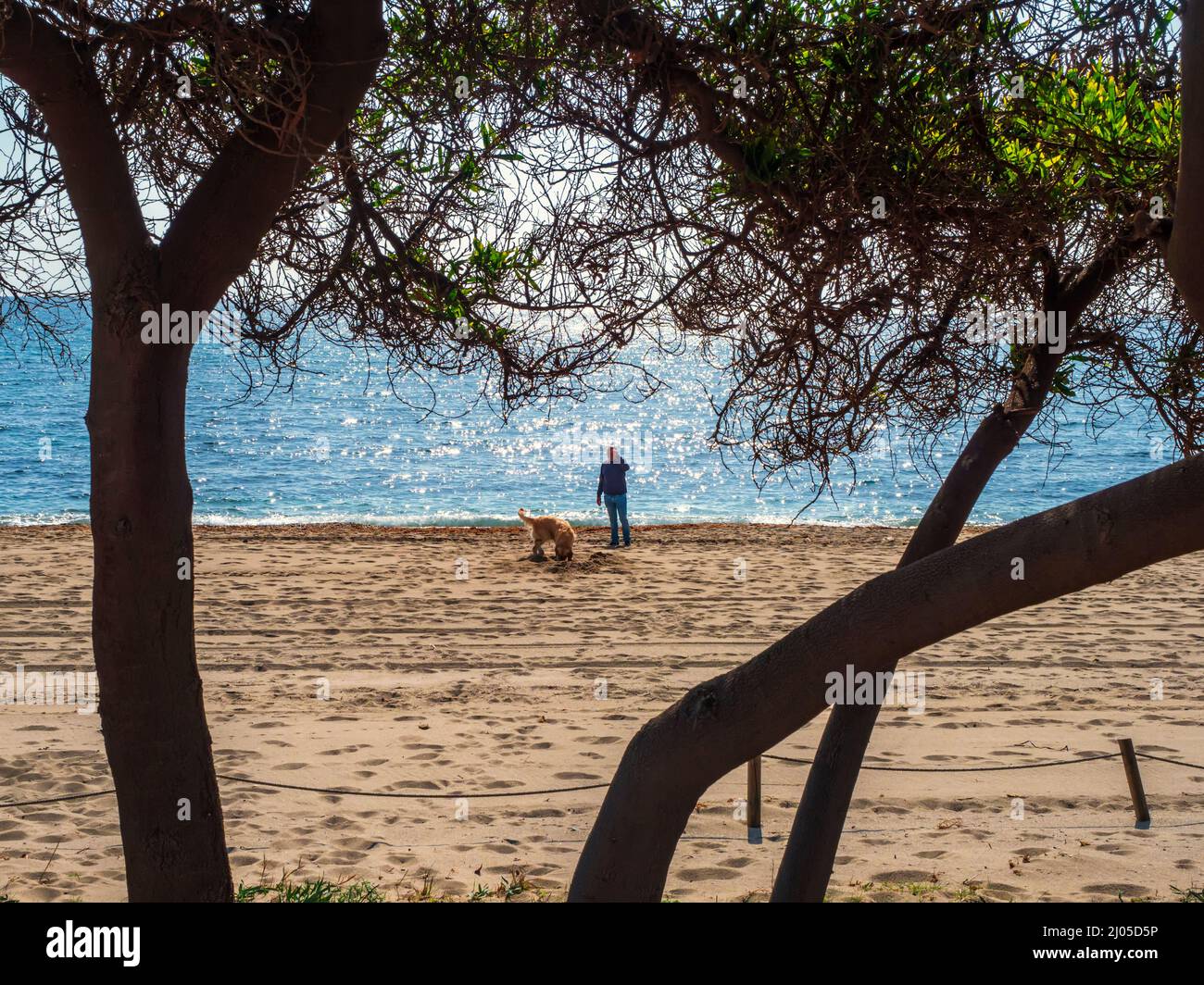 Mann mit seinem Hund, der an einem sonnigen Wintertag auf dem Sand des Mijas Beach spielt. Stockfoto