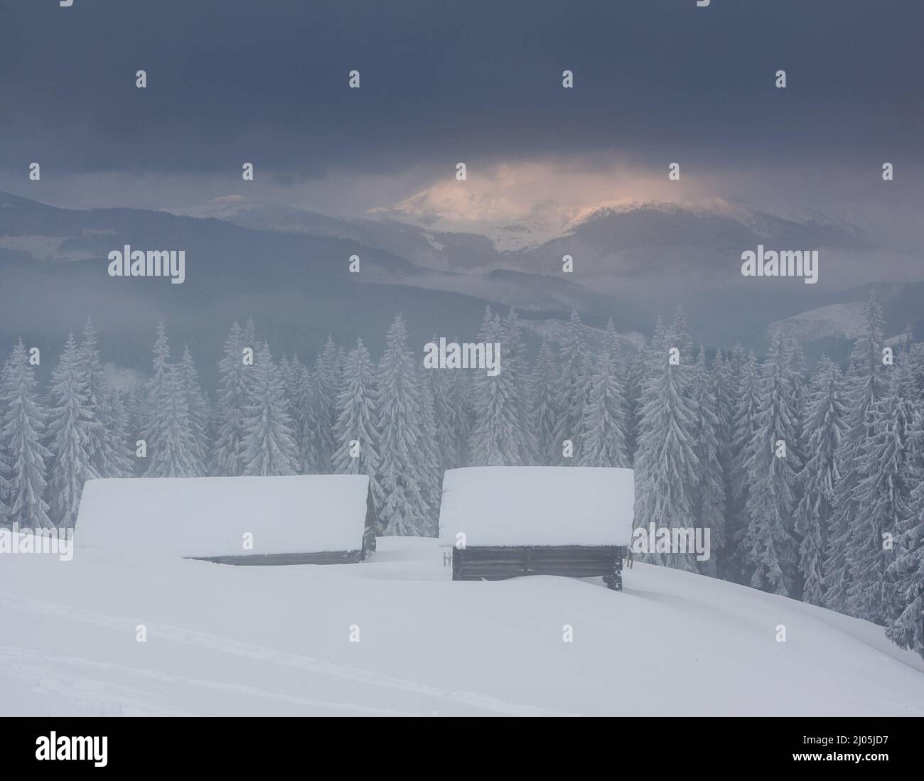 Schöne Winterlandschaft mit schneebedeckten Bäumen. Dramatischer Himmel. Karpaten, Ukraine, Europa. Beauty-Welt. Stockfoto