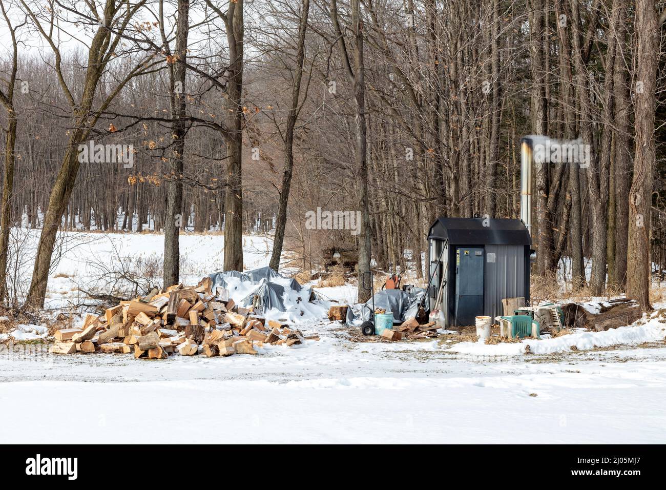 Holzofen im Freien, brennendes Holz, Winter, E USA, von James D Coppinger/Dembinsky Photo Assoc Stockfoto