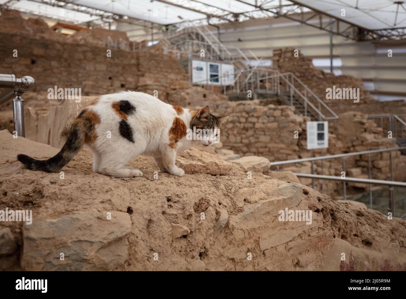 Ephesus, Türkei Stockfoto