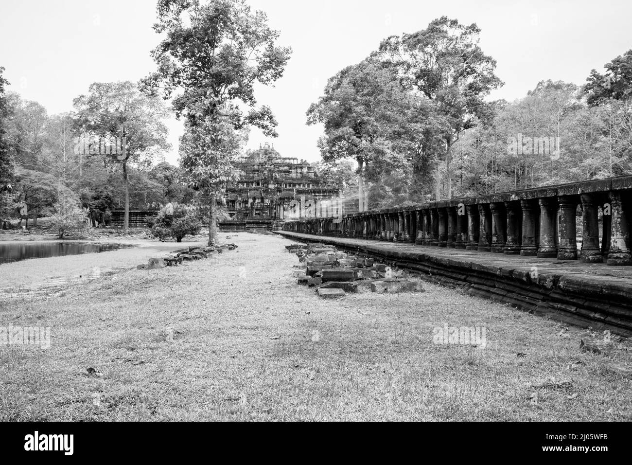 Schwarz-Weiß-Ansicht eines kleinen, von Menschen hergestellten Teiches in der Nähe der archäologischen Stätte Baphuon in Siem Reap, Kambodscha. Stockfoto