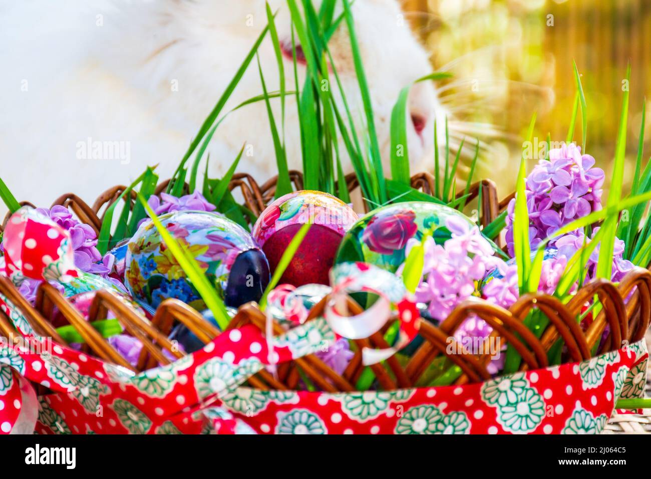 Schöne bemalte Ostereier und Hase hinter dem Korb Stockfoto