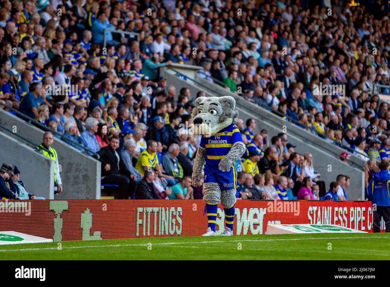 Warrington 16. Juli 2015: Warrington Wolves veranstaltete St. Helens im Halliwell Jones Stadium. Wolfie geht um den Platz und begeistert die Menge Stockfoto