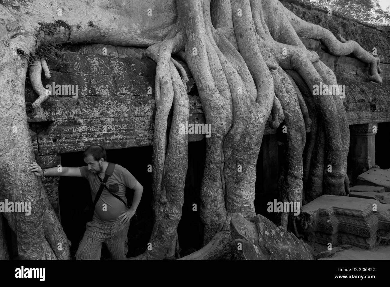 Ein Besucher, der sich am Ta Prohm Tempel, Siem Reap, Kambodscha, an einer riesigen Baumwurzel lehnt (schwarz-weiße Version). Einst als Drehort für einen Hollywood-Film von 2001 verwendet Lara Croft: Tomb Raider mit Angelina Jolie und vor allem bekannt für seine riesigen Wurzeln aus wilden Bäumen, die tief zwischen den Steinen verwurzelt sind, war Ta Prohm ein Kloster für Studenten des Mahayana-Buddhismus, bevor es verlassen und für Hunderte von Jahren vergessen wurde. Stockfoto