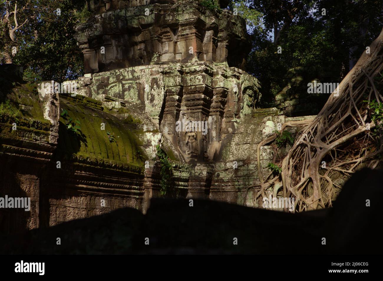 Ein Turm mit apsara-Figur, an einer Ecke des Ta Prohm Tempels in Siem Reap, Kambodscha. Einst als Set für einen Hollywood-Film aus dem Jahr 2001 verwendet Lara Croft: Tomb Raider mit Angelina Jolie und bekannt für seine riesigen Wurzeln wilder Bäume tief zwischen den Steinen, war Ta Prohm ein Kloster für Mahayana Buddhismus Studenten, bevor es für Hunderte von Jahren verlassen und vergessen wurde. Stockfoto