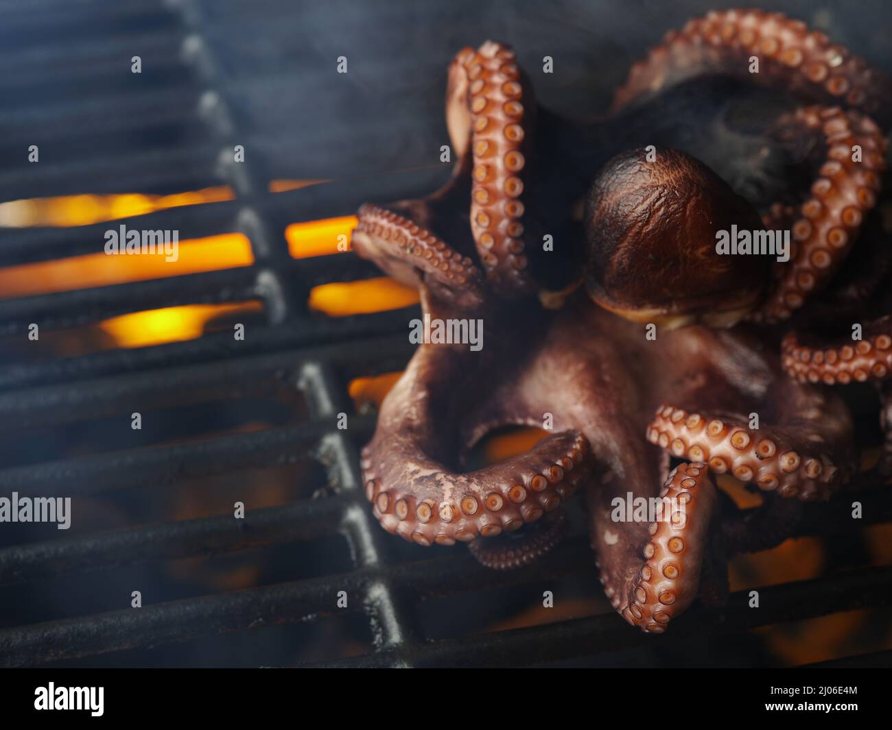 Makroaufnahme. Gegrillter Oktopus auf Feuer. Rauchiger Hintergrund. Meeresfrüchte. Kochen von Meeresfrüchten auf dem Grill. Rezepte der Restaurantküche. Gesund vegetarisch f Stockfoto