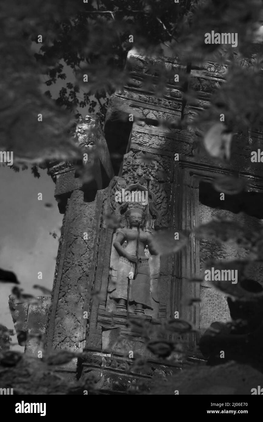 Wasserspiegelung der apsara-Figur bei Ta Prohm, Siem Reap, Kambodscha (schwarz-weiße Version). Stockfoto