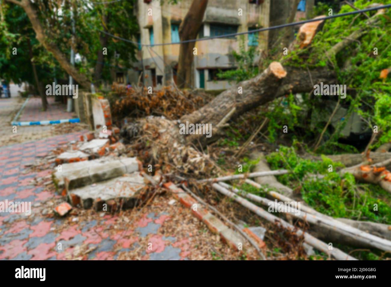 Verschwommenes Bild des Super-Wirbelsturms Amphan entwurzelten Baumes und die Kraft brach den Bürgersteig. Der Baum fiel und blockierte den Bürgersteig. Die Verwüstung hat Schäden angerichtet Stockfoto