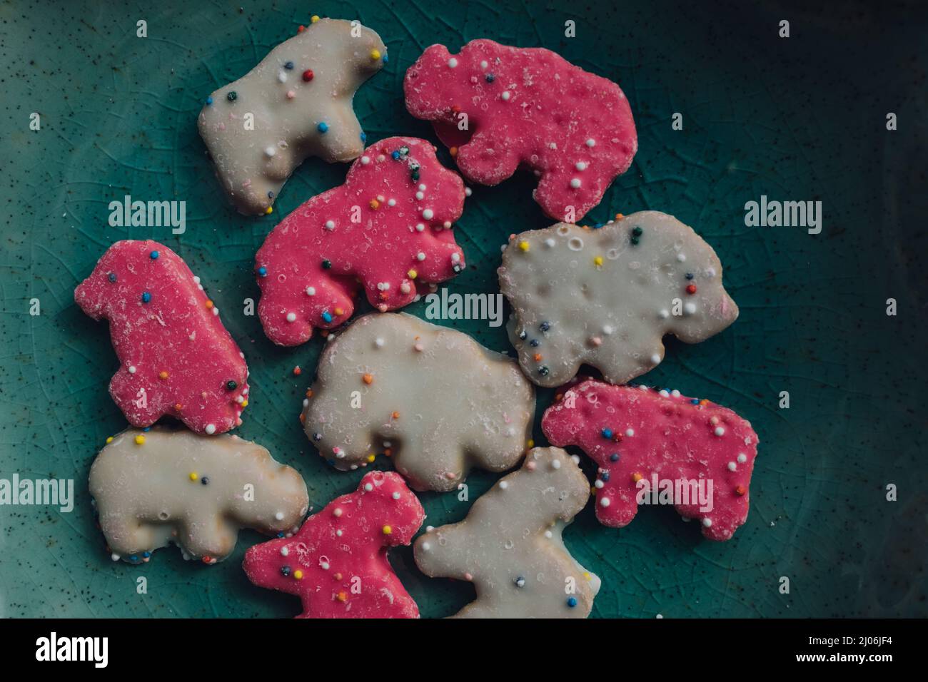 Frosted Circus Animal Cookie, Pink and White Animal Cracker mit Streuseln auf blauem Teller Stockfoto