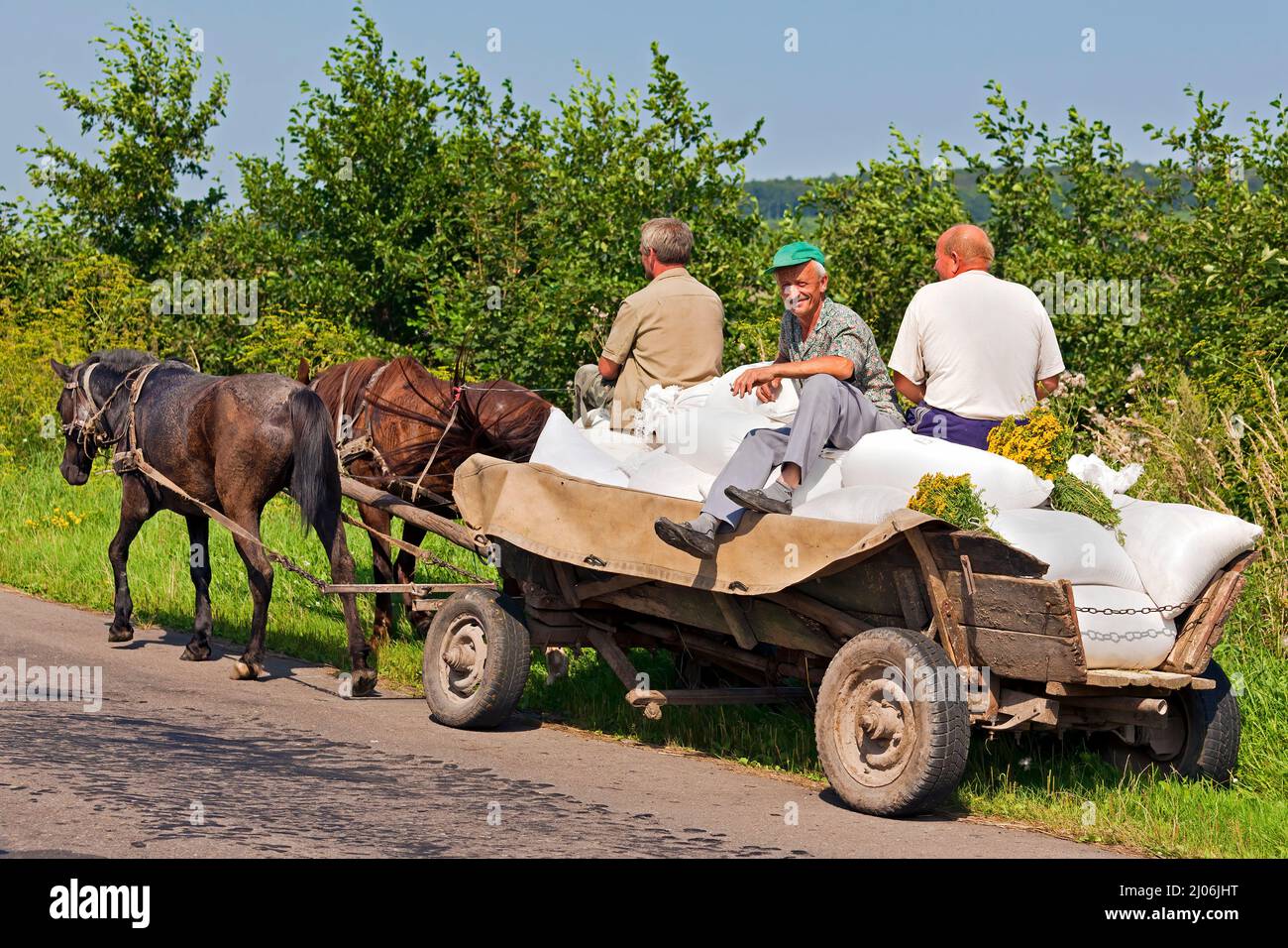 Landarbeiter und Säcke, die auf Pferd und Wagen unterwegs sind, Westukraine Stockfoto