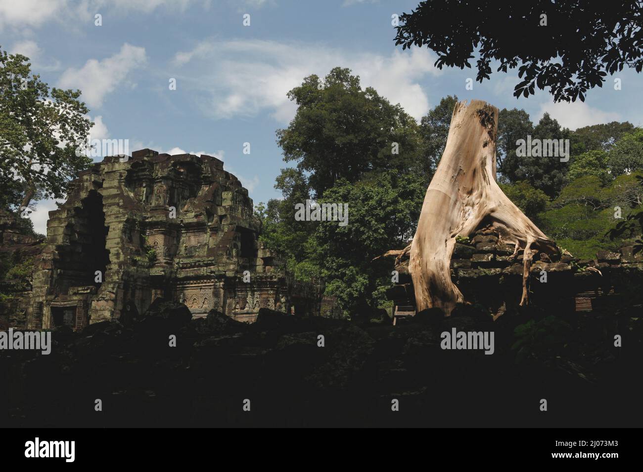 Die Überreste eines riesigen Baumes mit seinen Wurzeln wachsen tief in die Mauer des Preah Khan Tempels in Siem Reap, Kambodscha. Stockfoto