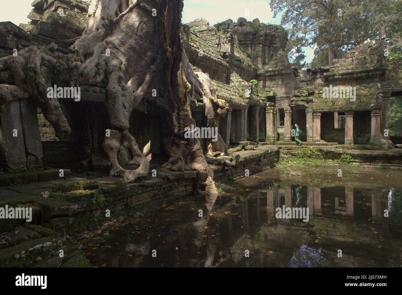 Eine Besucherin, die am Prasat Preah Khan (Preah Khan-Tempel) in Siem Reap, Kambodscha, an einem alten Teich entlang geht. Stockfoto