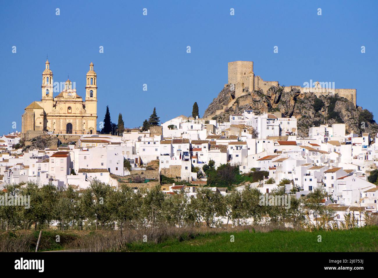 Das weiße Dorf Olvera mit Schloss und Kirche Nuestra Señora de la Encarnacion, Olvera, Pueblo Blanco, Provinz Cadaz, Andalusien, Spanien Stockfoto