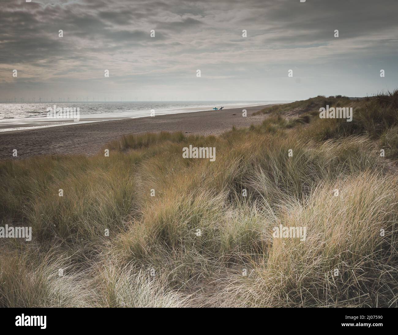 Küstenlandschaft mit Dünengras Stockfoto
