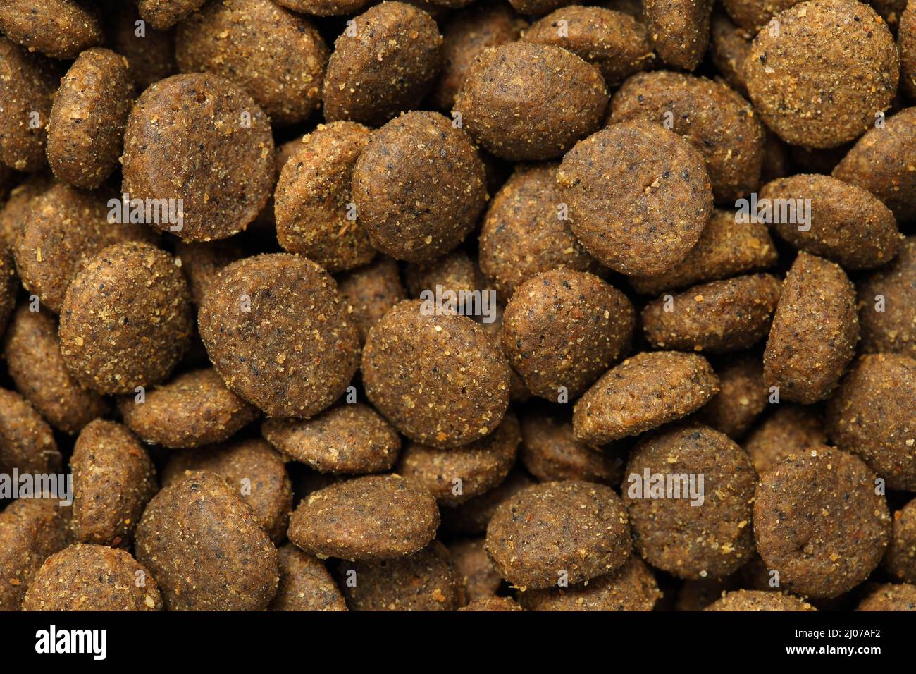 Extreme Nahaufnahme, Draufsicht auf hochwertiges, trockenes Futter für Katzen oder Hunde. Makro Tierfutter Hintergrundstruktur. Stockfoto