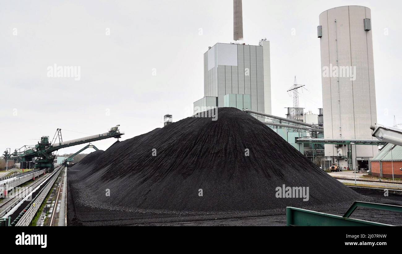 17. März 2022, Nordrhein-Westfalen, Duisburg: Steinkohle fällt aus einem Förderband im Kraftwerk Steag in Duisburg-Walsum. Foto: Bernd Thissen/dpa Stockfoto