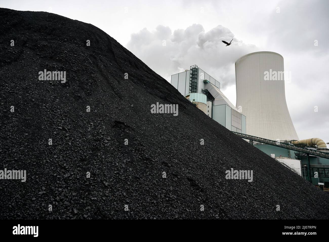 Duisburg, Deutschland. 17. März 2022. Im Kraftwerk Steag in Duisburg-Walsum gelagerte Steinkohle. Quelle: Bernd Thissen/dpa/Alamy Live News Stockfoto