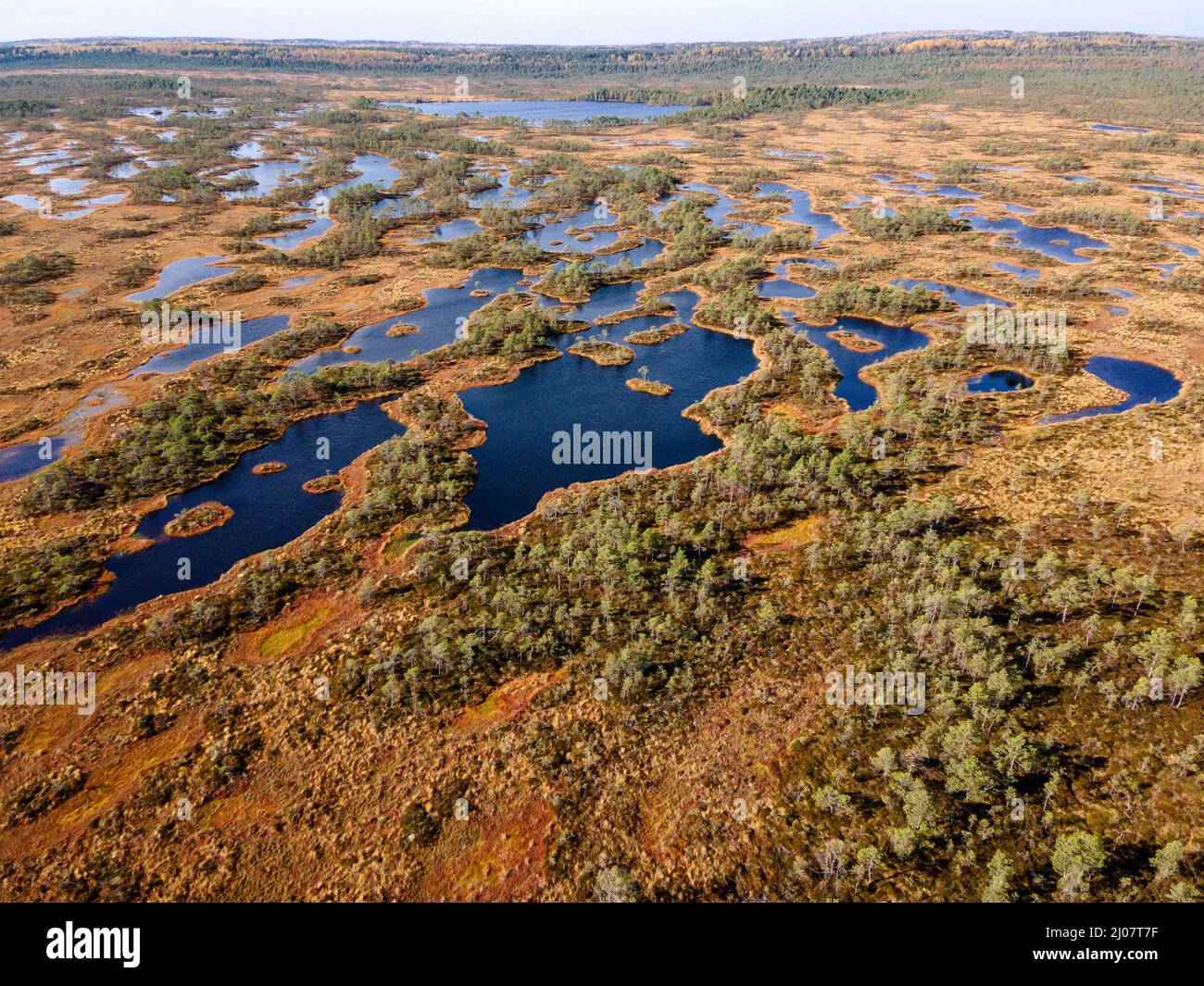 Sumpf, Moor und Seen im estnischen Naturschutzgebiet Kakerdaja. Drohnenansicht Stockfoto