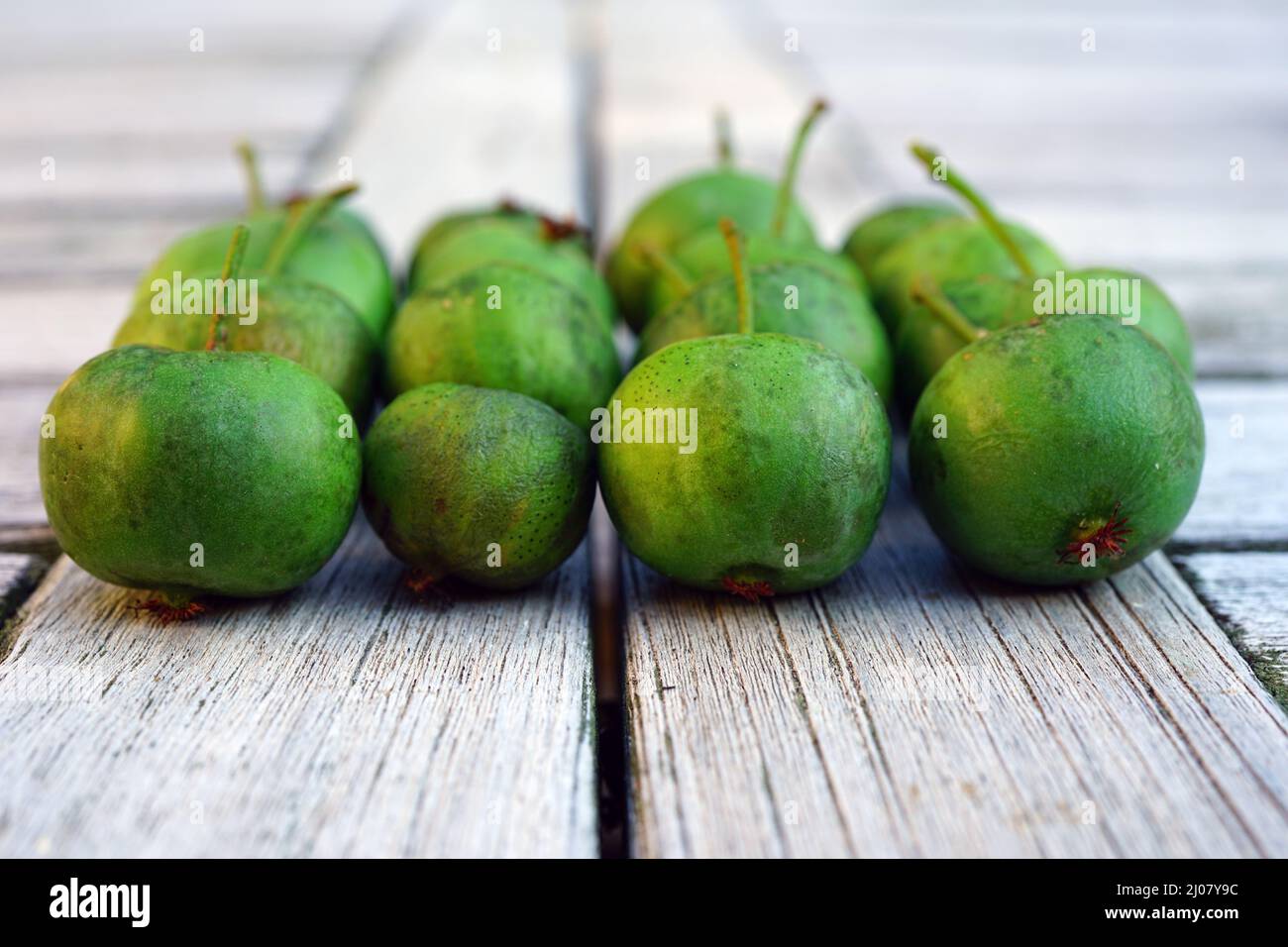 Grüne Baby Kiwi Beeren actinidia arguta Stockfoto