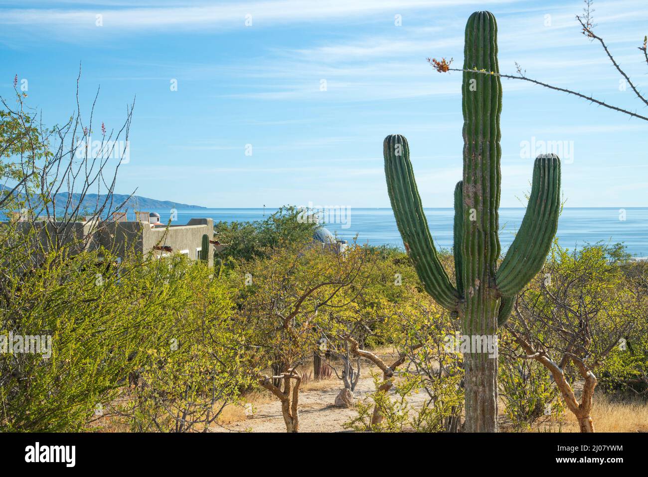 Mexiko, Mexiko, Baja California, Sur, El Sargento, Ventana Bay, Rancho sur Stockfoto