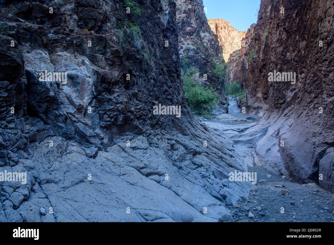 USA, West Texas, Texas, Big Bend Ranch State Park, geschlossener Canyon Stockfoto