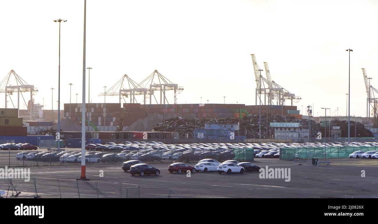 Tesla EV Autos geparkt in Southampton Docks Hampshire UK warten auf die Verarbeitung zu ihrer nächsten Phase der Lieferung. Stockfoto