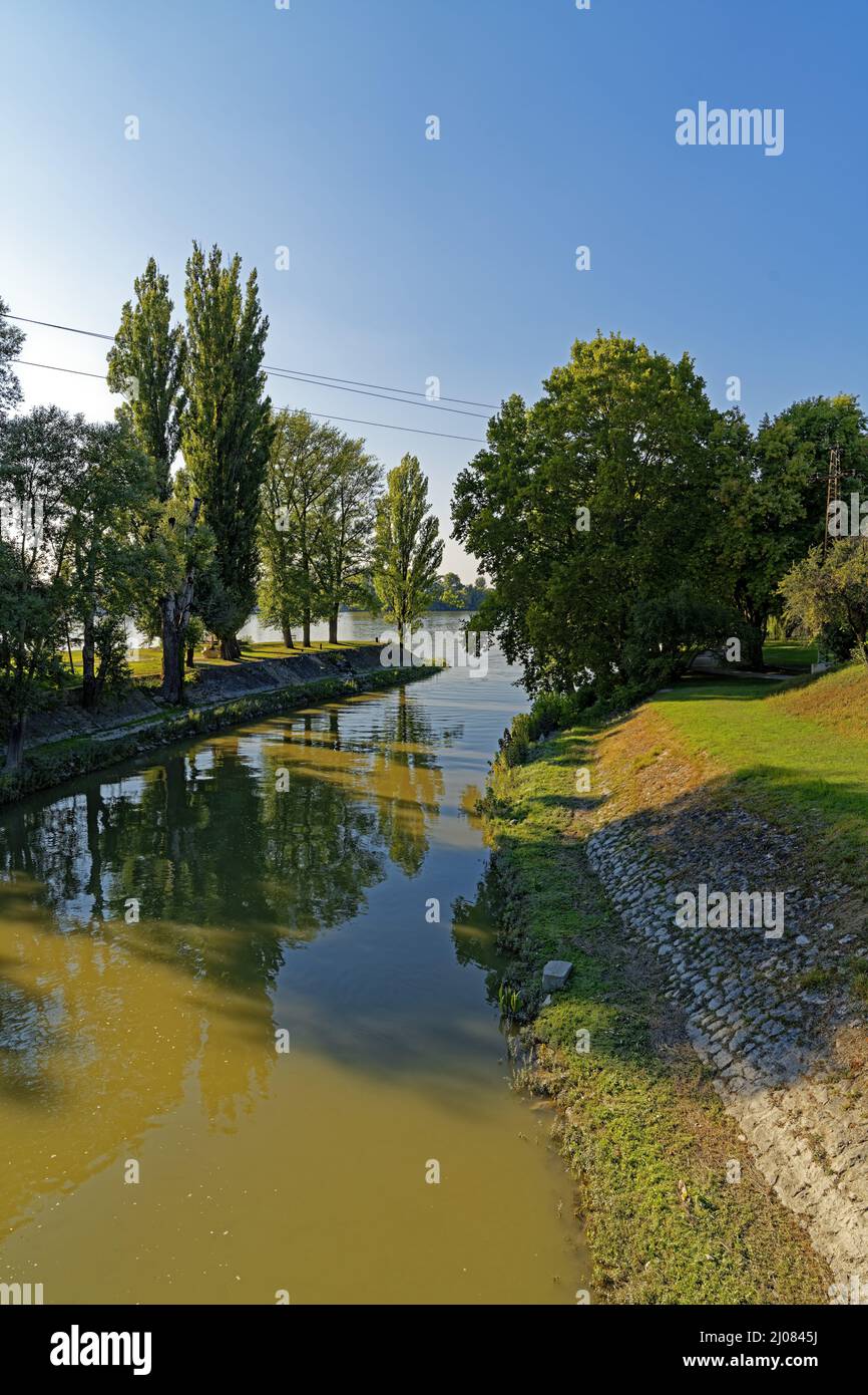 Fluch, Kis Duna, Donauarm Stockfoto