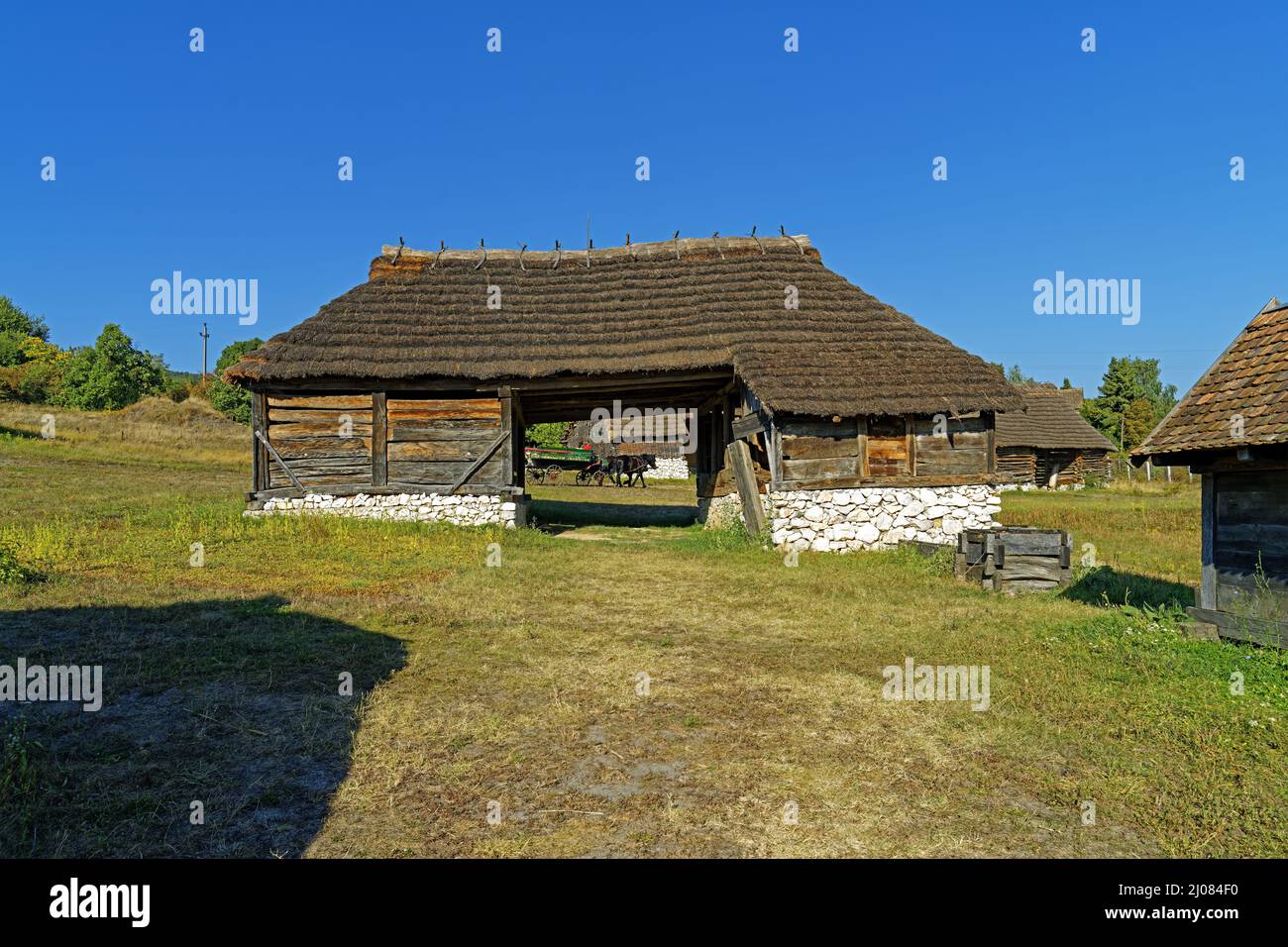 Freilichtmuseum, Bauernhofmuseum, Skanzen, Szentendrei Szabadtéri Néprajzi Múzeum, Region Nordungarn, Dorf, Häuser, Pferde, Fuhrwerk Stockfoto