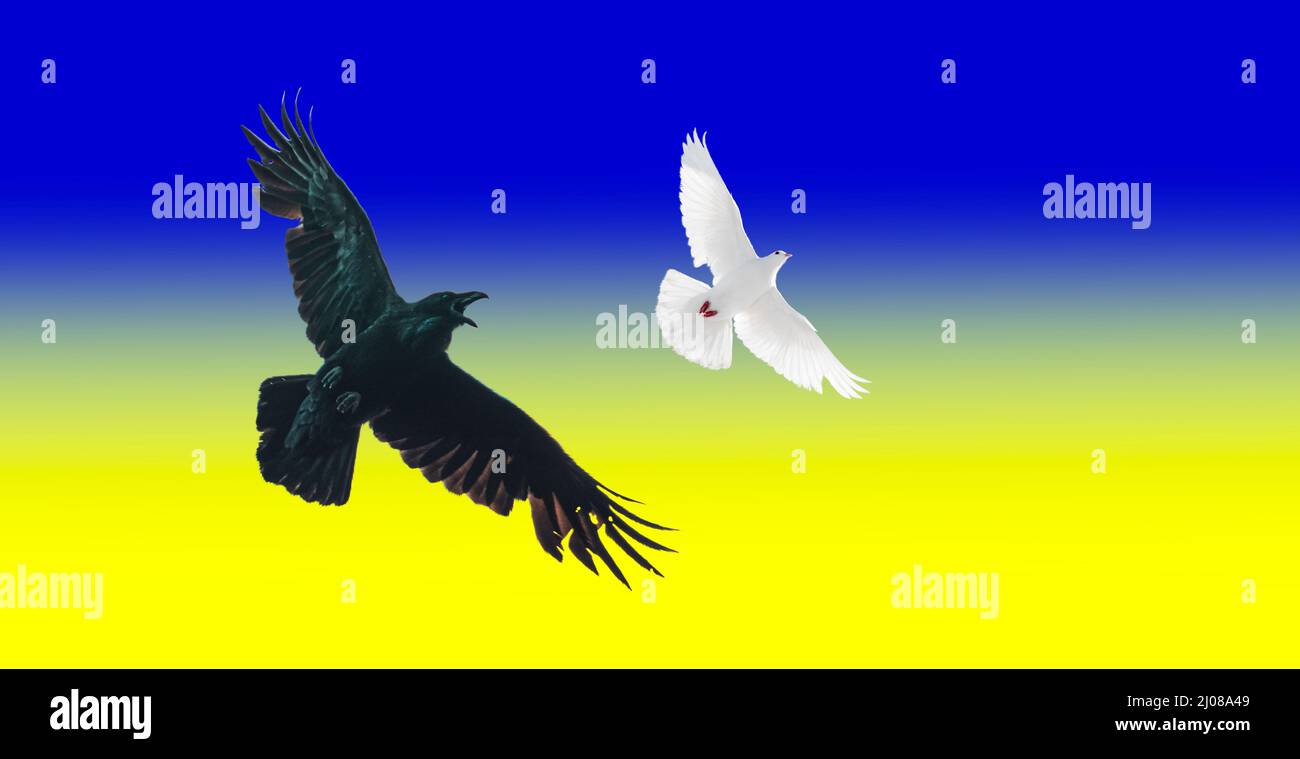 Krieg Russland und Ukraine, Böse und gute Stockfoto