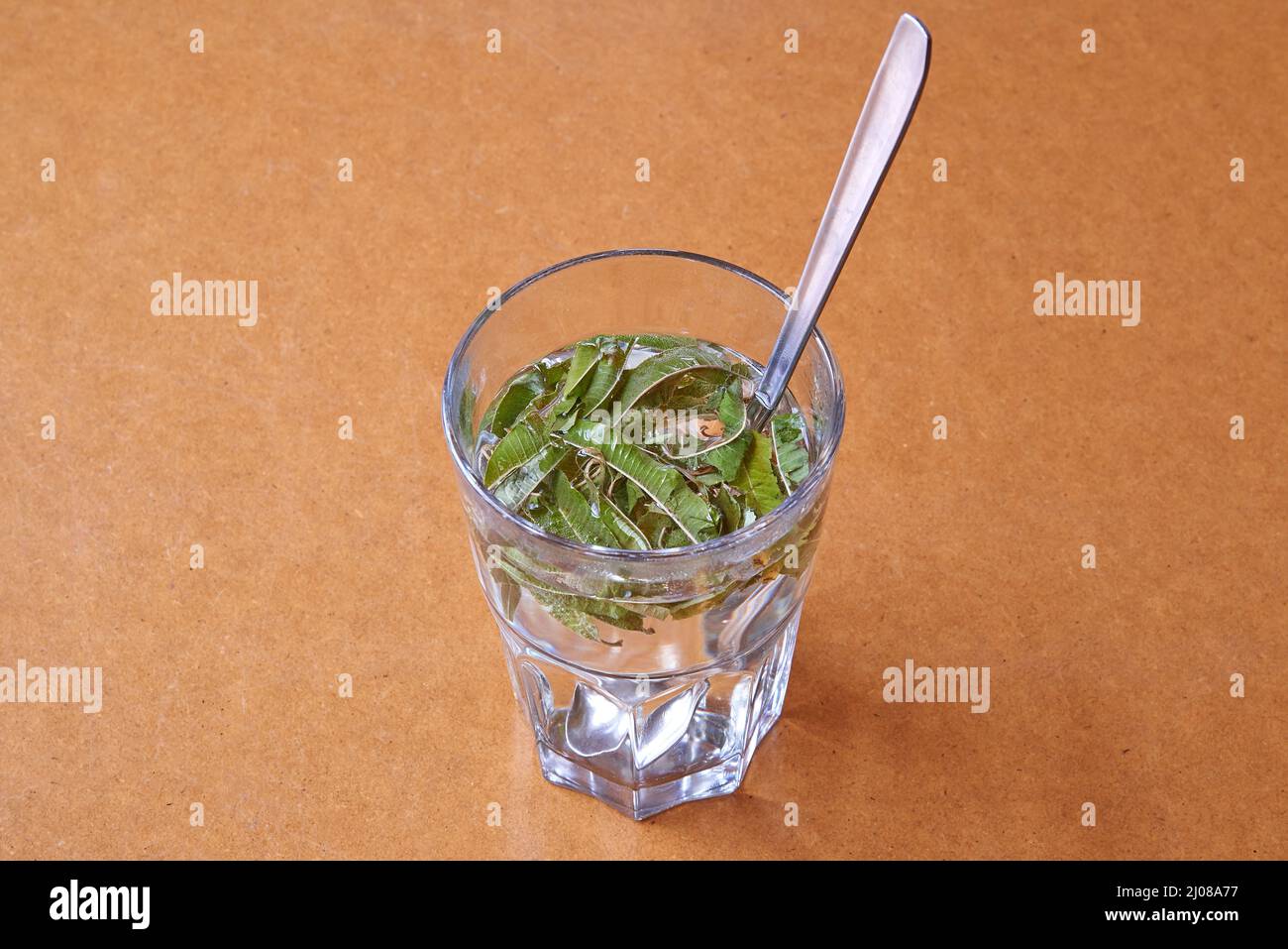 Glas Vervain-Tee auf braunem Holztisch Stockfoto