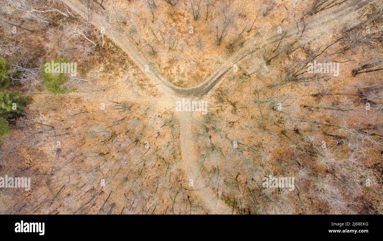 Luftaufnahme von der Drohne einer dreifachen staubigen Straße in den Wald an einem Wintertag Stockfoto