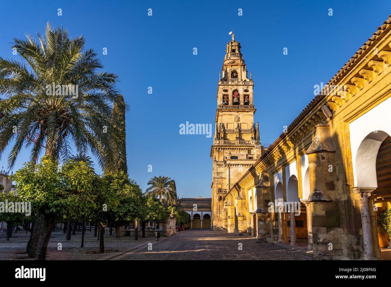 Orangenhof und Glockenturm der Mezquita - Catedral de Córdoba in Cordoba, Andalusien, Spanien | Gericht der Orangen und Mezquita - Moschee-Kathedrale von Stockfoto